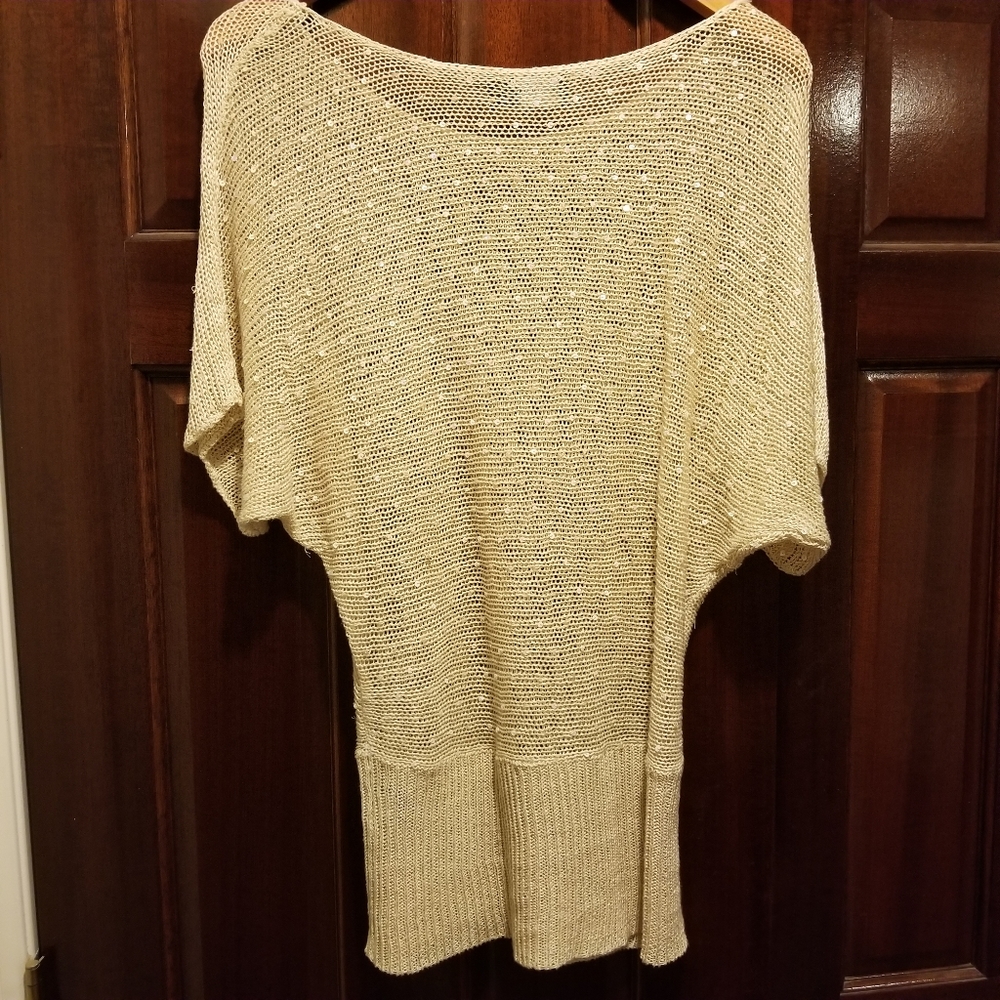 The limited cream mesh sequin blouse